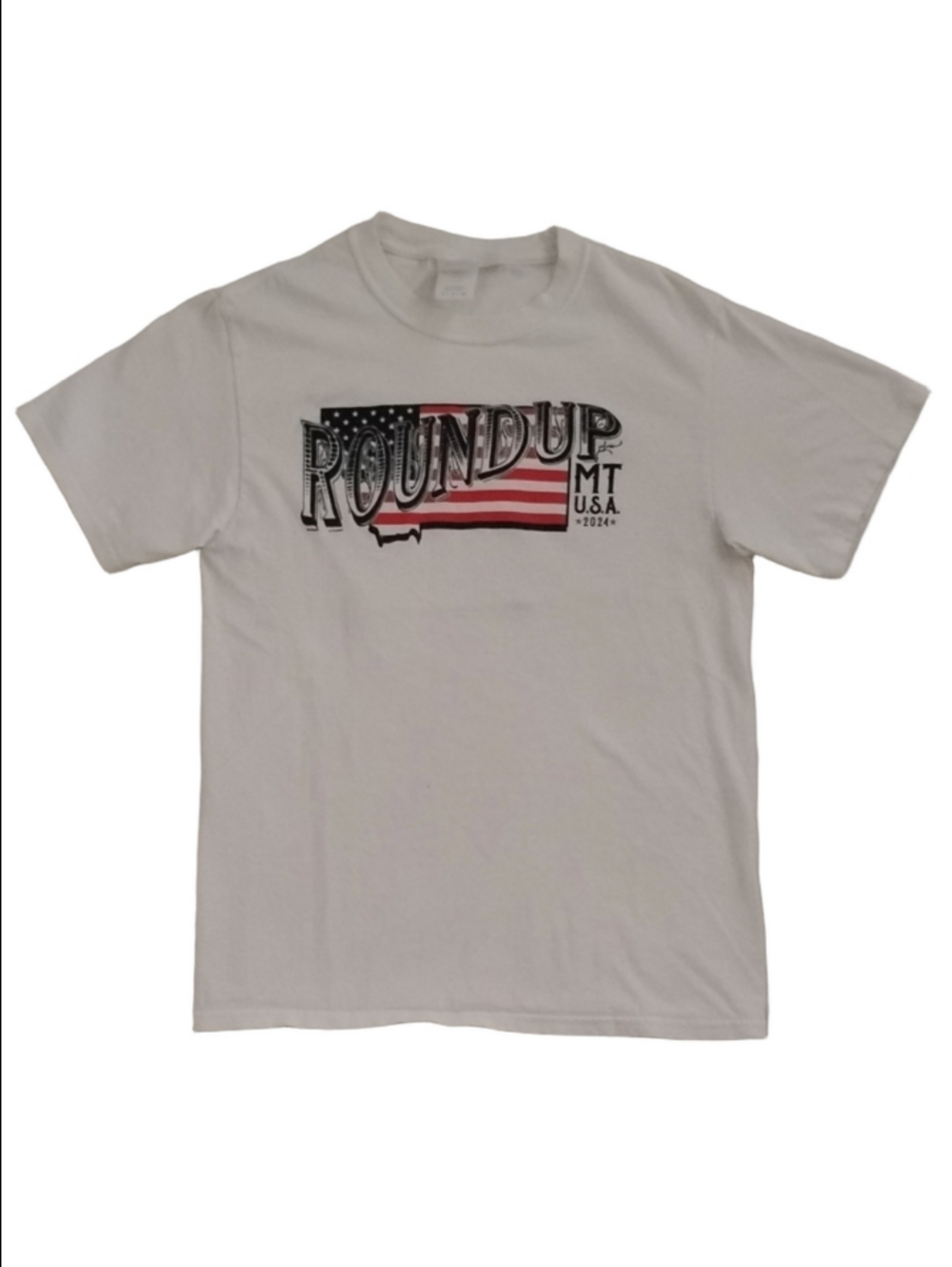 3/$20 Port and Company White ROUNDUP Flag Graphic Tee